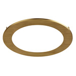 Trim Ring Accessory for Slim - Natural Aged Brass