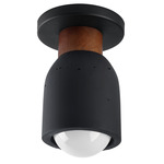Pompeii Ceiling Light - Black / Lava Rock