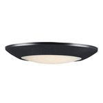 Diverse T24 Wet Location Ceiling Light - Black / White