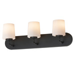 Durham Bathroom Vanity Light - Black / White