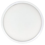 Surface Mount Color-Select Ceiling Light - White
