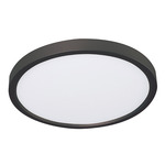 Edge Color-Select 120V Ceiling Light - Black / White Acrylic
