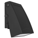 Poly Outdoor Wall Sconce - Black / Clear