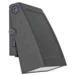 Poly Outdoor Wall Sconce - Bronze / Clear