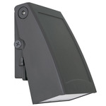 Poly Outdoor Wall Sconce - Bronze / Clear