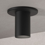 Entity Ceiling Light - Matte Black