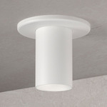 Entity Ceiling Light - Semi Gloss White