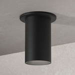 Entity Ceiling Light - Matte Black