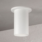 Entity Ceiling Light - Semi Gloss White