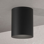 Entity Ceiling Light - Matte Black