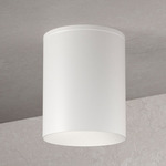 Entity Ceiling Light - Semi Gloss White