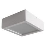 Double Ceiling Light - White