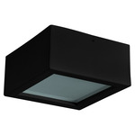 Single Ceiling Light - Black