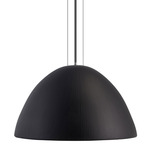 Sapinus Pendant - Black