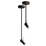 Bird Ceiling Light - Black