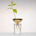 Floating Forest Cone - Polished Brass