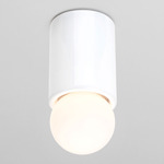 Porcelain O1 Ceiling Light - White / Opal