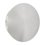 Rickie Outdoor Wall Sconce - Brushed Aluminum / Clear