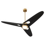 Apogee Ceiling Fan with Light - Aged Brass / Black