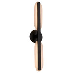 Avian Color-Select Bathroom Vanity Light - Black / Frost