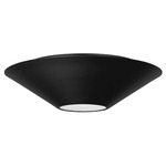 Echo Ceiling Flush / Wall Sconce - Midnight Black / Clear