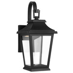 Warren Dark Sky Outdoor Wall Light - Textured Black / Clear