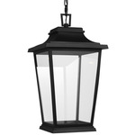 Warren Dark Sky Outdoor Pendant - Textured Black / Clear