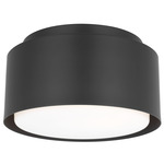Dartmore Ceiling Flush Light - Midnight Black / Etched Glass