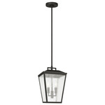 Kennewick Outdoor Pendant - Textured Black / Clear Seeded