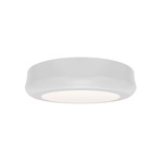 Parthenon Color-Select Wall / Ceiling Light - White / White