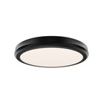 Parthenon Color-Select Wall / Ceiling Light - Black / White