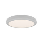 Parthenon Color-Select Wall / Ceiling Light - White / White