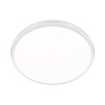 Parthenon Color-Select Wall / Ceiling Light - White / White