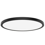 Round 24 Color-Select Wall / Ceiling Light - Black / White