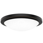 Dew Color-Select Wall / Ceiling Light - Black / White