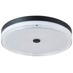 Iris Color-Select Ceiling Light - Matte Black / Frosted