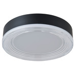 Waves Color-Select Ceiling Light - Matte Black / Frosted