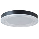 Waves Color-Select Ceiling Light - Matte Black / Frosted