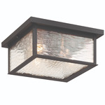Estate Outdoor Ceiling Light - Black / Water Glass