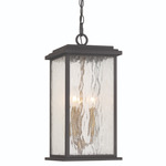 Estate Outdoor Pendant - Black / Water Glass