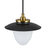 Dahlia Convertible Pendant - Black / Brushed Brass / Opal White