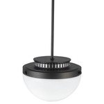 Dahlia Bowl Pendant - Black / White