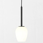 Tacoma Tulip Pendant - Black / White