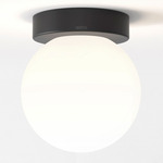 Tacoma Round Wall / Ceiling Light - Black / White