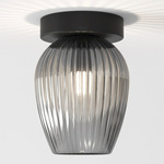 Tacoma Tulip Wall / Ceiling Light - Black / Smoke Ribbed