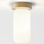 Tacoma Reed Wall / Ceiling Light - Antique Brass / White