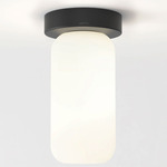 Tacoma Reed Wall / Ceiling Light - Black / White