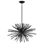 Palisades Round Chandelier - Black / Clear