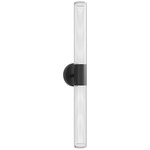 Strand Wall Sconce - Black / Clear