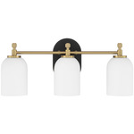 Council Bathroom Vanity Light - Black / Satin Brass / White Frosted